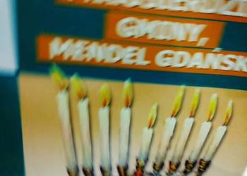 Mendel gdański Miłosierdzie gminy lektury szkolne outlet