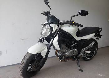 Suzuki Gladius A2