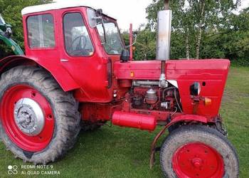 Traktor, ciągnik MTZ 50, zarejestrowany, pracujący. Wersja DDR.