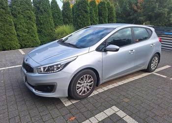 Kia Ceed 1.6 GDI M – Bezwypadkowy, salon Polska, zadbany
