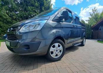 Ford Turneo Costum
