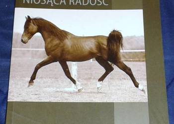 Niosąca radość - Krzysztof Czarnota