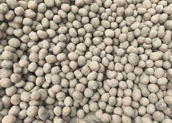 ziemniaki  Irga, Bellarosa ,Denar