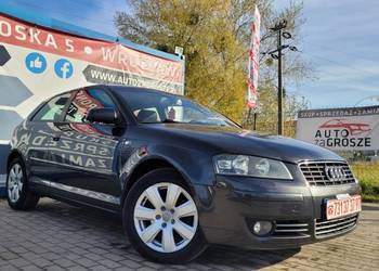 Audi A3 8P 2.0 TDI / Klimatyzacja / Alufelgi / Grzane fotele//Długie Opłaty