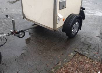 Przyczepka WT-METALL Transportu Psów