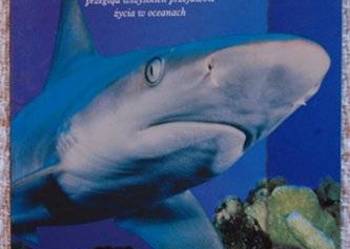 W głębinach oceanu Paul Bennett