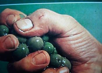 Archiwum duńskiego  Prog, Psych rocka PAN- Pan. 1971.