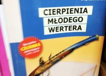 Cierpienia młodego Wertera Goethe lektury szkolne antykwaria