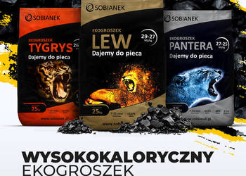 Węgiel groszek LEW SOBIANEK orzech TYTAN DIABLO NAJLEPSZY GROSZEK