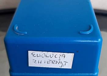 Slajdy -  Ewolucja świata zwierzęcego