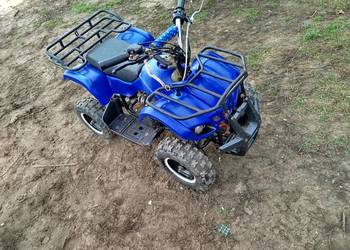 Quad hamer 50cc 2t automat dla dzieci 4-7 lat
