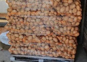 Sprzedam Ziemniaki jadalne odmian Argana ,Melody żółt,Baltik Rose czerwone