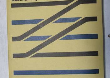 Elektromonter taboru szynowego E. Mierzejewski kolej  kolejnictwo