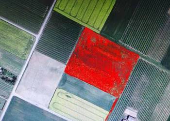 Działka rolna Ożarów koło Nałęczowa