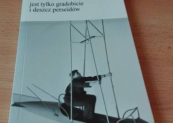 Jest tylko gradobicie i deszcz perseidów M  Machnicki