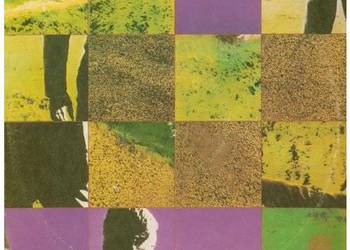 Czesław Niemen – „Enigmatic” (LP)