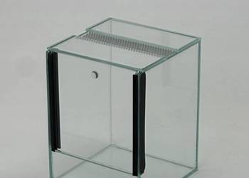 TRANSGLASS - TERRARIUM 15X15X20 - PRODUCENT