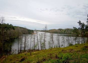 Mazury! Stare Juchy działki okolicach jeziora lasu.