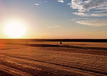 Wykonam zdjęcia i filmy dronem
