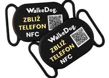 Psi Dowód - WalkeDog - Pomóż swojemu psu i kotu wrócić do domu