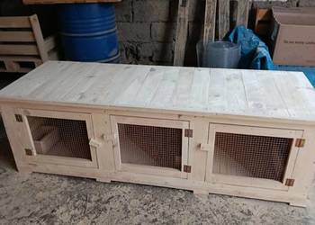 Klatki dla królików