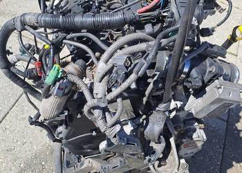 Ford Fiesta MK VII 1.6 TDCi silnik kompletny kod HHJA HHJB HHJD