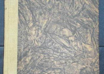 Patologia i terapia szczegółowa - Boczarow / 1950 / weterynaria / terapia