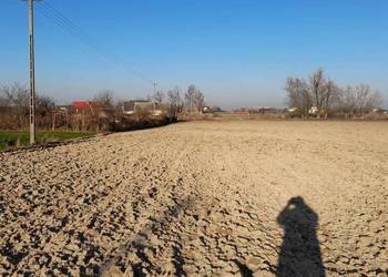 Działki budowlane Krotoszyn od 517-925 m2 ul.Rawicka / Cedrowa / Cyprysowa