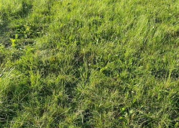Oferta sprzedaży działki Ustronie Morskie 500m2