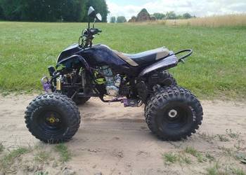 Quad Bashan