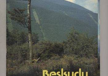Beskydy panorama Beskydy panorama