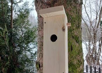 Budka lęgowa dla ptaków