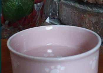 Miska miski ceramiczna dla psa kota pudrowy róż x 2
