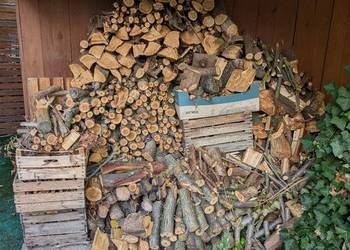 Drewno, orzech, czereśnia, tuja