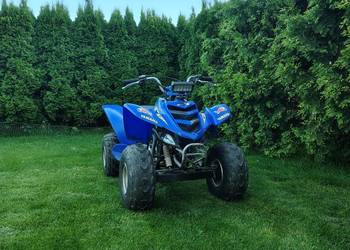 Yamaha Raptor 80 4t