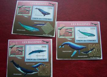 Komory 2009 MNH Fauna Wieloryby Nakład 2500 szt