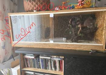 Sprzedam Terrarium z Boa