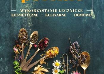 Zioła polskie Wykorzystanie lecznicze kosmetyczne kulinarne domowe Zioła polskie Wykorzystanie lecznicze kosmetyczne kulinarne domowe