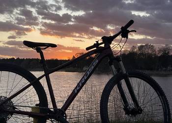 Rower kross koła 29