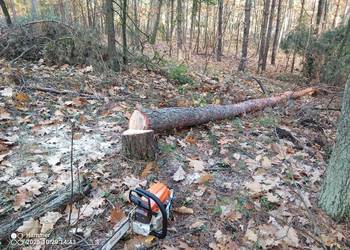 Koszenie, karczowanie, wycinka drzew