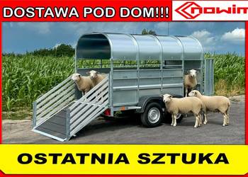 Przyczepa do transportu zwierząt do bydła owiec cieląt prosiąt ciężarowa