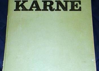 Prawo karne -  Witold Świda