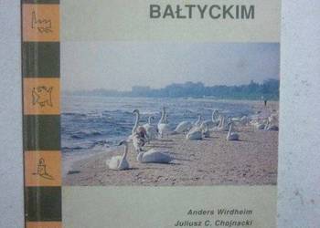 Co się dzieje z Morzem Bałtyckim - Wirdheim Anders