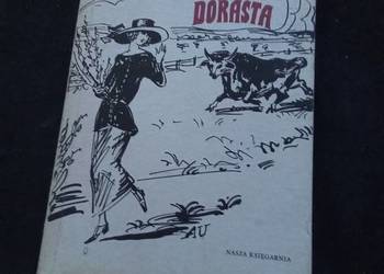Pollyanna dorasta