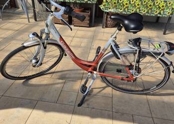 Rower Gazelle