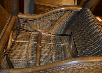 witryna orzech ,  jak selva