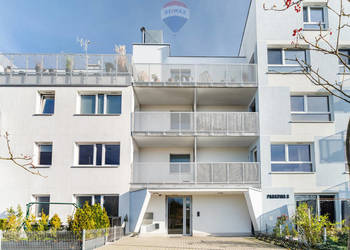 Ogłoszenie mieszkanie Biedrusko 35m 1-pok