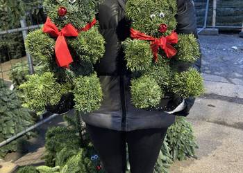 Niedźwiadki misie z jodły nobilis