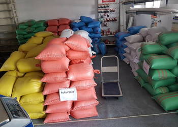 SŁONECZNIK   czarny worki 20 kg