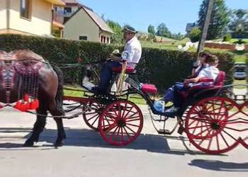Sprzedam bryczke konna